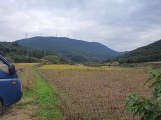 콩사랑님의 자유주제 · 자유게시판 작성글 사진