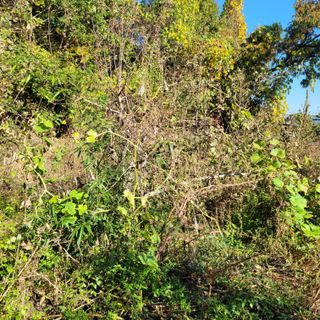 이창화님의 자유주제 · 자유게시판 작성글 사진