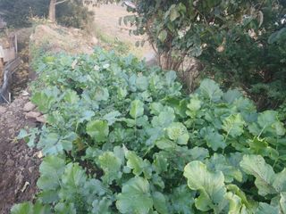 正覺님의 자유주제 · 자유게시판 작성글 사진