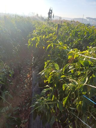 홍순오님의 자유주제 · 자유게시판 작성글 사진