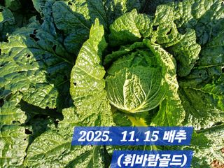 박성민님의 자유주제 · 자유게시판 작성글 사진