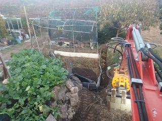 正覺님의 자유주제 · 자유게시판 작성글 사진