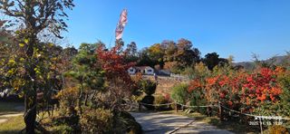 달맛햇복숭아농원님의 자유주제 · 자유게시판 작성글 사진