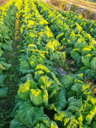 이호님의 자유주제 · 자유게시판 작성글 사진