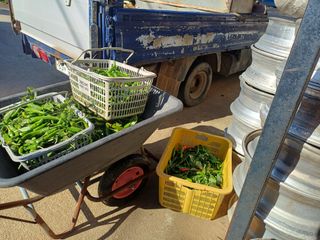 홍순오님의 자유주제 · 자유게시판 작성글 사진