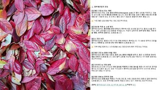 베리첼님의 자유주제 · 자유게시판 작성글 사진