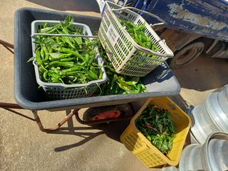 홍순오님의 자유주제 · 자유게시판 작성글 사진