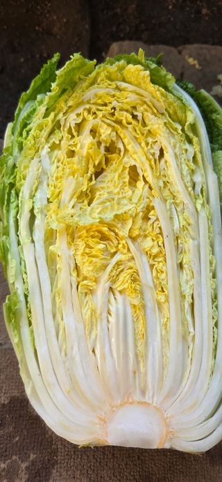 삽질왕님의 자유주제 · 자유게시판 작성글 사진