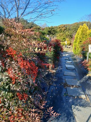 무료지식나눔 팜닥터님의 자유주제 · 자유게시판 작성글 사진