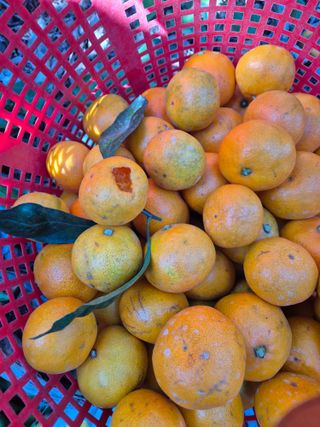 원경님의 자유주제 · 사진전 작성글 사진