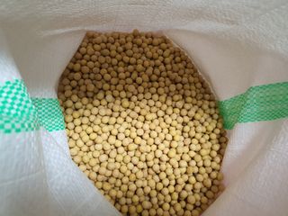 콩사랑님의 자유주제 · 자유게시판 작성글 사진