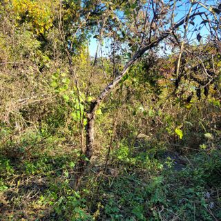 이창화님의 자유주제 · 자유게시판 작성글 사진