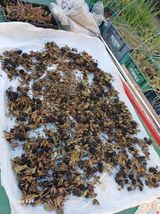 팜모닝 자유주제·자유게시판 게시글 이미지