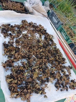 강성흔목사 님의 자유주제 · 자유게시판 작성글 사진