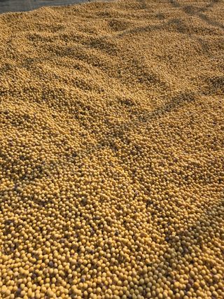 희찬모(정정자)님의 자유주제 · 자유게시판 작성글 사진