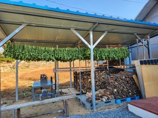 임용관님의 자유주제 · 자유게시판 작성글 사진