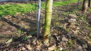 김병수님의 자유주제 · 자유게시판 작성글 사진