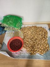 팜모닝 자유주제·자유게시판 게시글 이미지