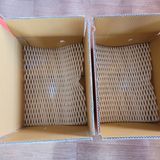 팜모닝 귤·수확 게시글 이미지