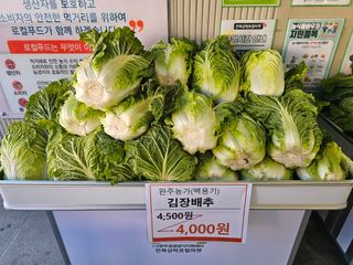 백용기님의 자유주제 · 자유게시판 작성글 사진