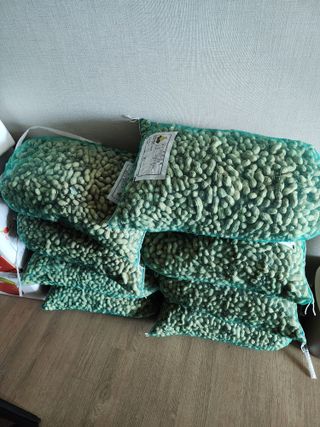 회사원&초보농사꾼님의 자유주제 · 자유게시판 작성글 사진