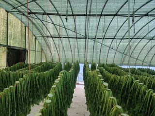 고승현(장수하늘소)님의 자유주제 · 자유게시판 작성글 사진