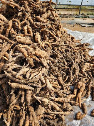 윤미선(농경채인증님의 작성글 사진