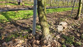 김병수님의 자유주제 · 자유게시판 작성글 사진