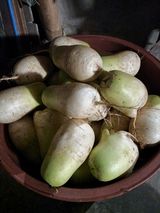 팜모닝 · 게시글 이미지