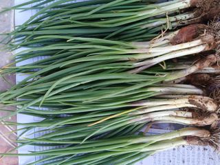 김상선님의 작성글 사진