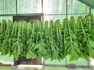 고승현(장수하늘소)님의 자유주제 · 자유게시판 작성글 사진