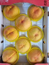 팜모닝 자유주제·자유게시판 게시글 이미지