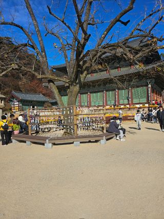 서정훈 님의 자유주제 · 자유게시판 작성글 사진