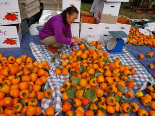 조봉래님의 작성글 사진