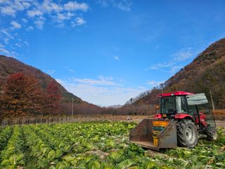 백용기님의 자유주제 · 자유게시판 작성글 사진