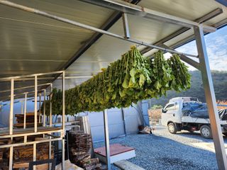 임용관님의 자유주제 · 자유게시판 작성글 사진