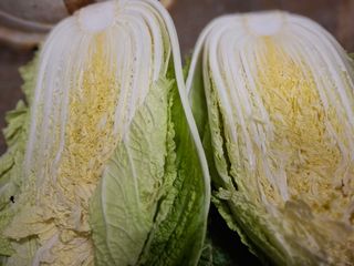 강정순님의 작성글 사진