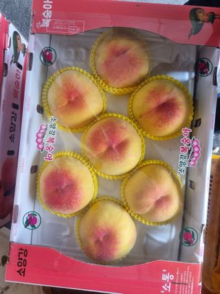 흑토끼님의 자유주제 · 자유게시판 작성글 사진