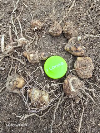 약초원 김종군님의 작성글 사진