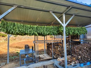 임용관님의 자유주제 · 자유게시판 작성글 사진