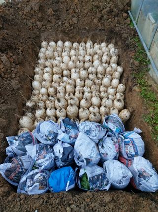 하문오님의 자유주제 · 자유게시판 작성글 사진