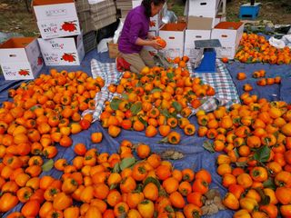 조봉래님의 작성글 사진