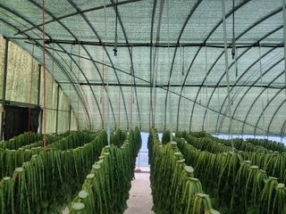 고승현(장수하늘소)님의 자유주제 · 자유게시판 작성글 사진