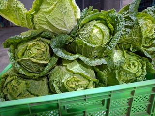 강정순님의 작성글 사진