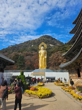 서정훈 님의 자유주제 · 자유게시판 작성글 사진