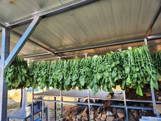 임용관님의 자유주제 · 자유게시판 작성글 사진