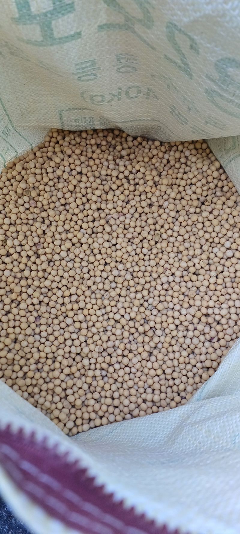 장터 상품 [메주콩] 썸네일