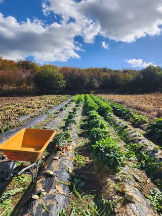 고승현(장수하늘소)님의 자유주제 · 자유게시판 작성글 사진