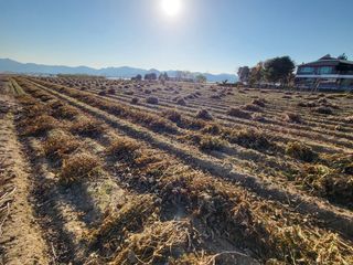 서명석님의 자유주제 · 자유게시판 작성글 사진