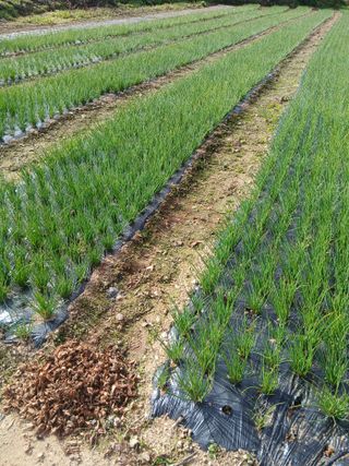 김상선님의 작성글 사진